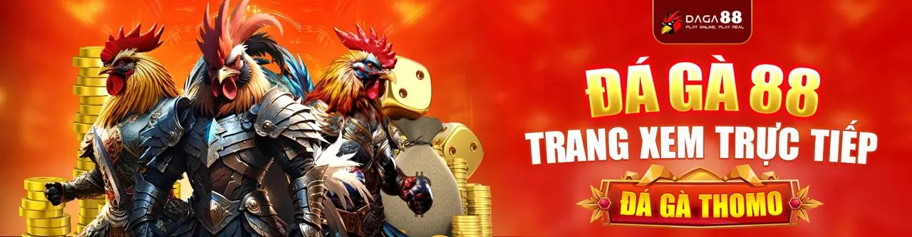 Đá gà trực tuyến DG88